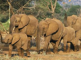 12122 Howey Cross Rd, Clermont, FL 34715