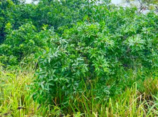 Mark Twain St LOT 27, Naalehu, HI 96772