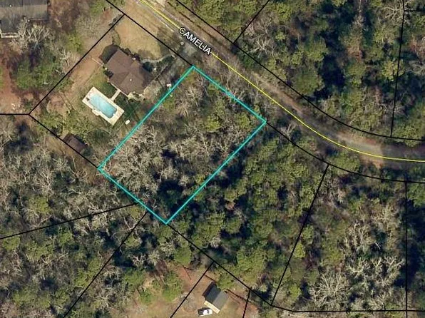 208 Camelia Dr, Sylvania, GA 30467