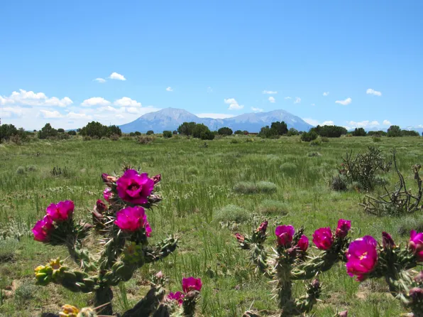 Huajatolla Blvd Lot 829 & 830, Walsenburg, CO 81089