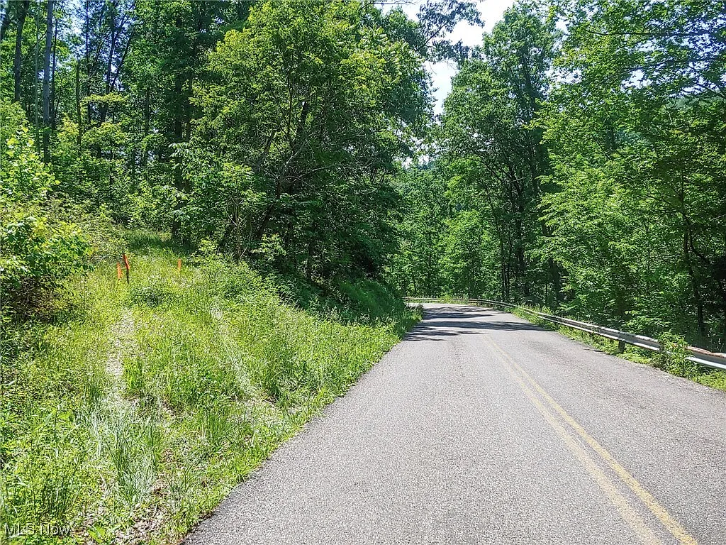11 Moss Run Rd photo 1