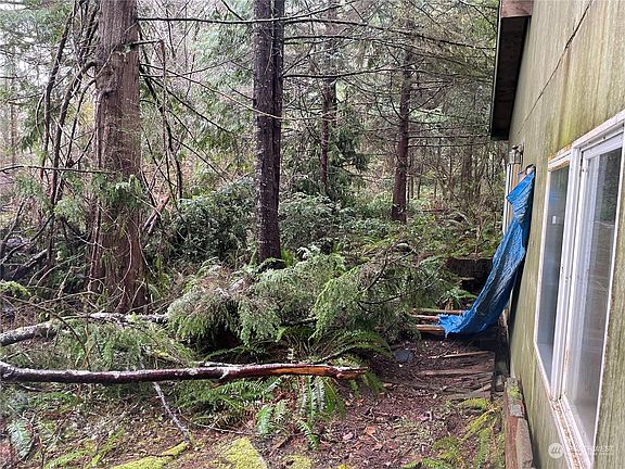 Side of Cabin/House.  Junk will be hauled off.>
