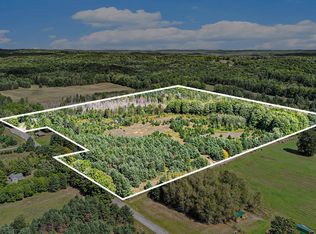 2343 Carpenter Rd, Bellaire, MI 49615