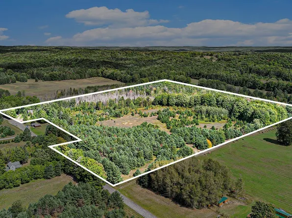 2343 Carpenter Rd, Bellaire, MI 49615