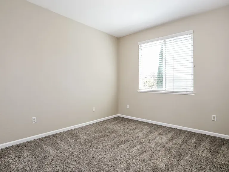 3557 Rainsong Cir — Photo 8