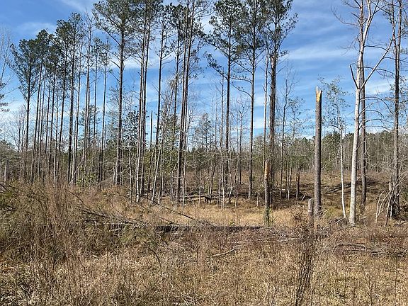 5th image of 2500 Nixon Rd