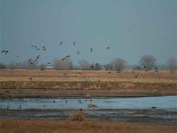 5th image of 45387 County Road 66