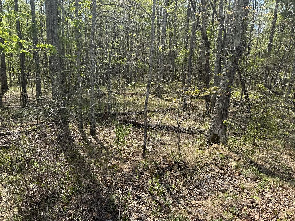 1st image of 0 Lewis Rd Lot 2