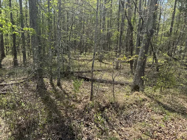 0 Lewis Rd Lot 2, Chapmansboro, TN 37035