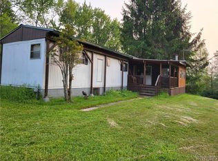 6 Fox Rd, East Otto, NY 14729