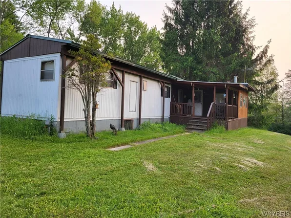 6 Fox Rd, East Otto, NY 14729