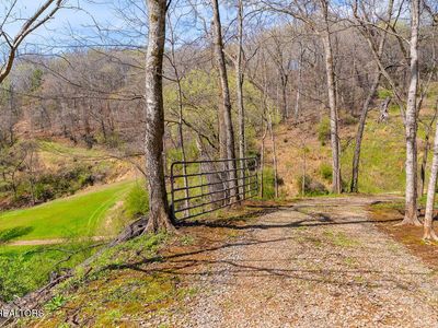 4125 Bear Hollow Loop, Louisville, TN, 37777