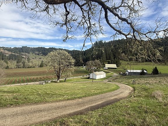 3rd image of 355 Banks Creek Rd