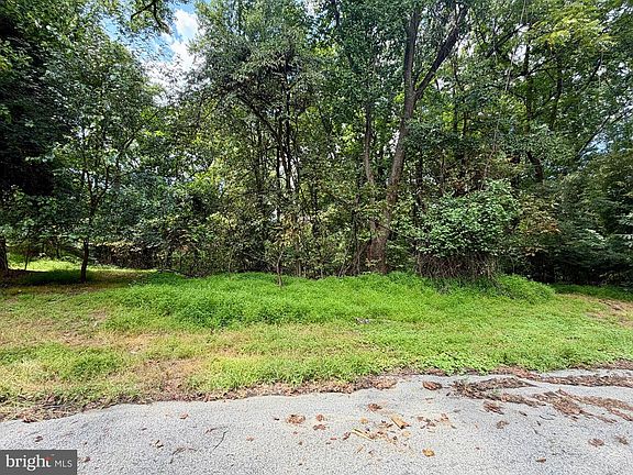 3rd image of Woodberry Woods