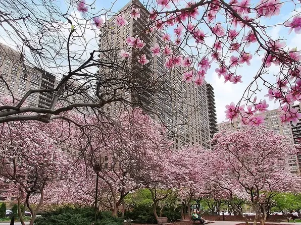 150 West End Avenue 3G image 4 of 5