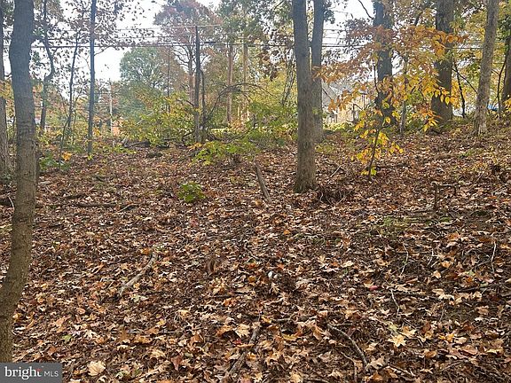 5th image of Bock Rd