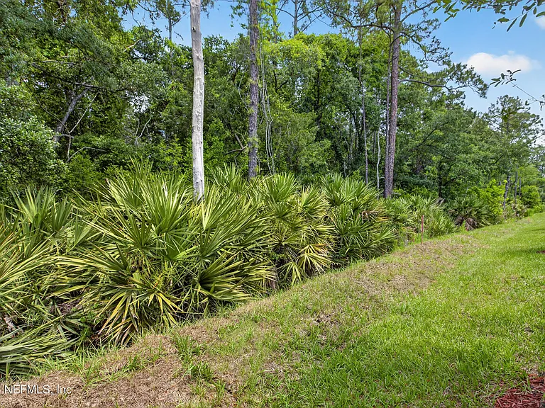 163 Palmetto Ridge Rd — Photo 33