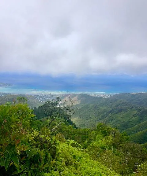 Hiking at Kuliouou Ridge trail is only 12 minutes away!