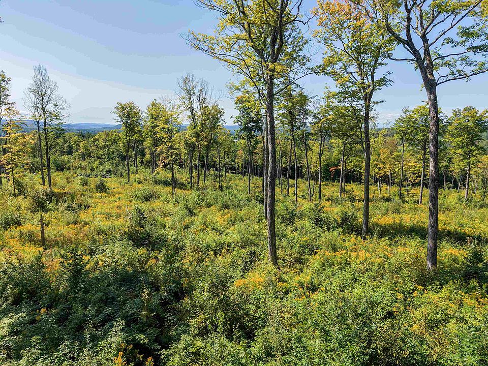 1st image of 177 Cilley Hill Road #6