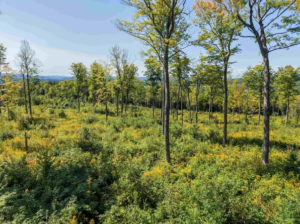 177 Cilley Hill Road #6, Jericho, VT 05465