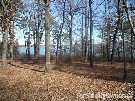 Walk down the gentle slope to the lake!
						:
						Your view of the lake from your future homesite's back porch!