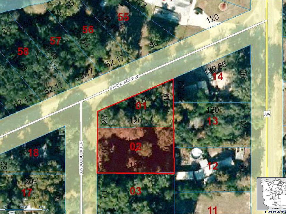 Asset Main Image