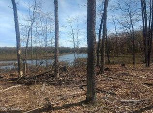 7746 N Woodbridge Ave, Brohman, MI 49312