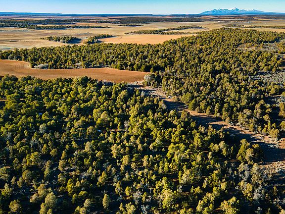 4th image of 175 E Lockerby