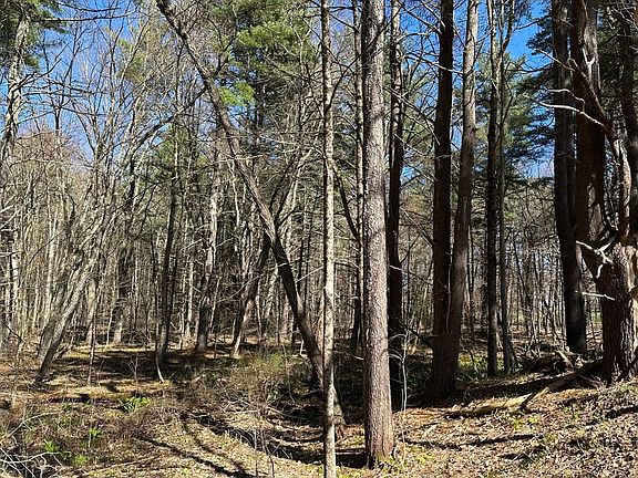 4th image of LOT 11 46b Hilliard Rd