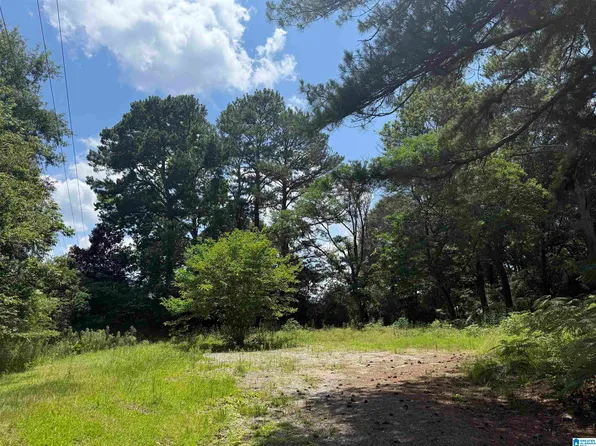 141 Highway 231 #1.5, Vincent, AL 35178