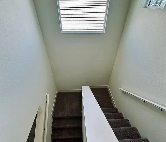 4223 Spotted Leaf Way — Photo 17