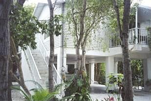 1st image of 133 Silver Palm