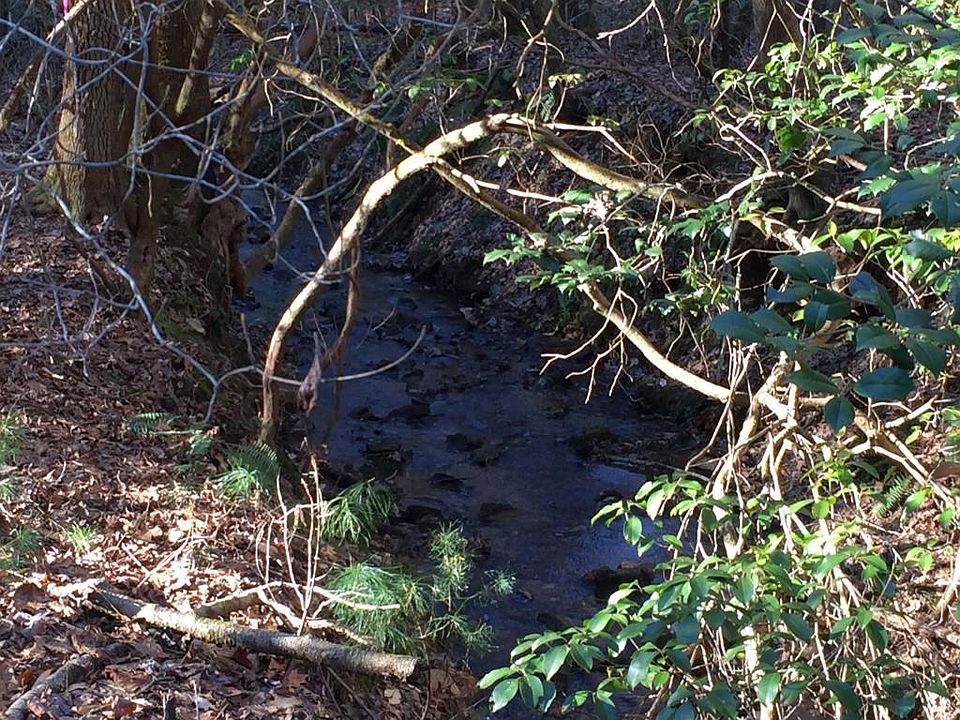 1st image of 7139 Locust Ln Lot 7139