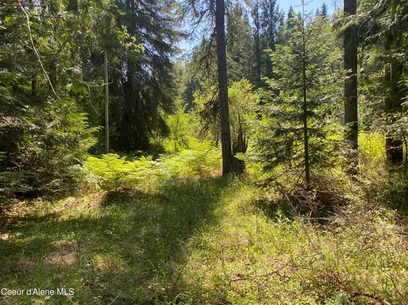 Nna Adams Lot 3, Spirit Lake, ID 83869