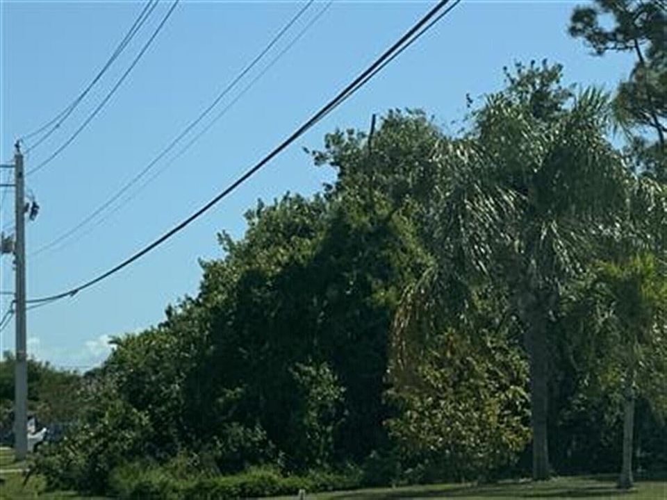 1st image of 2352 SE Melaleuca Boulevard
