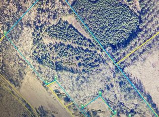 Azalea St, Johnsonville, SC 29555