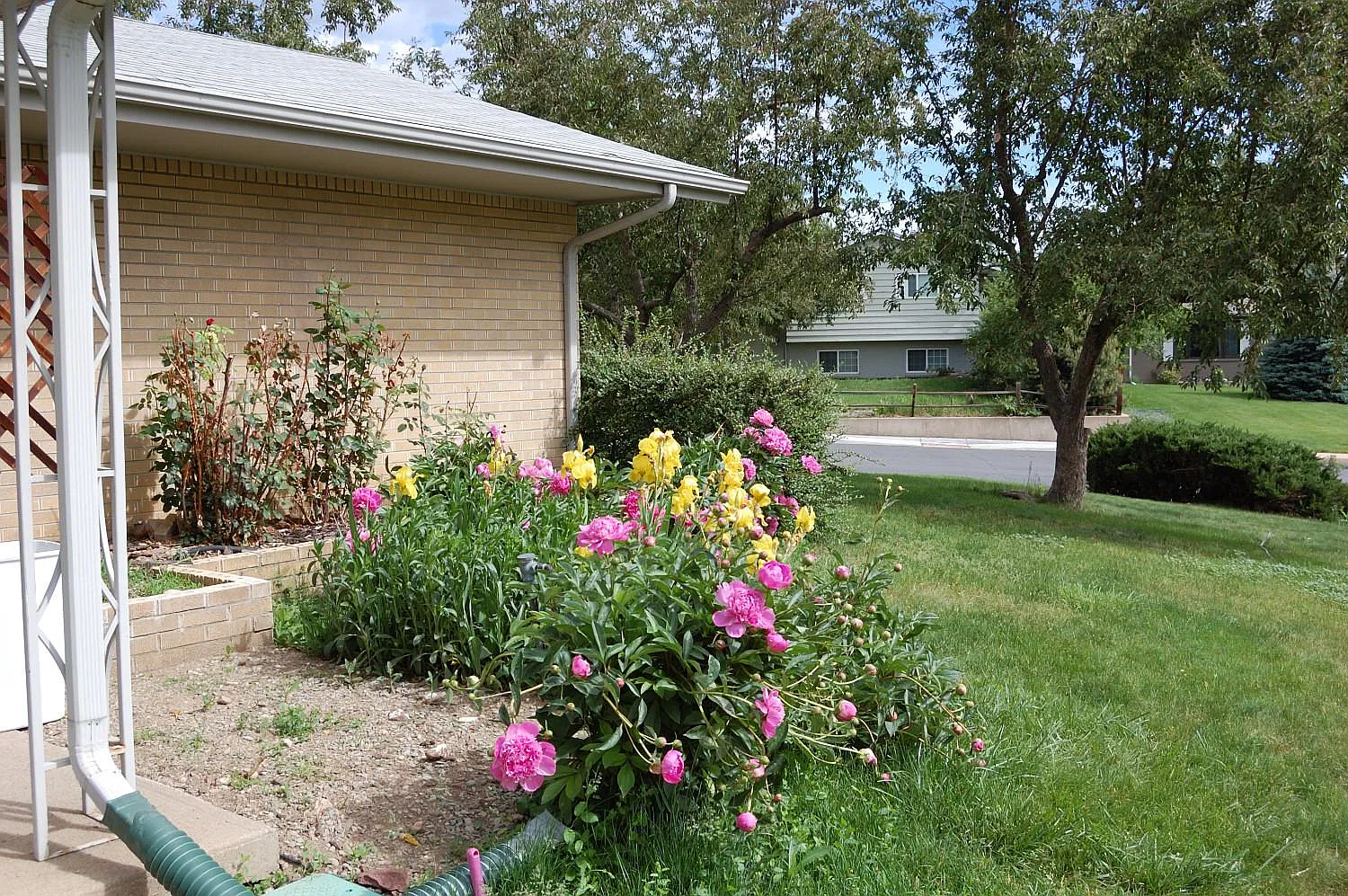 3 bed, 2.5 bath, 2544 sqft, $2,950 — Photo 3