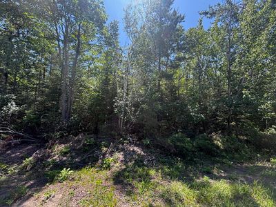 Nhn Pineview Dr, Presque Isle, MI, 49777
