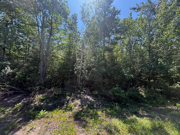 Nhn Pineview Dr, Presque Isle, MI 49777