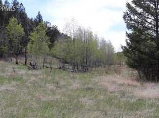 1425 Sioux Rd, Florissant, CO 80816