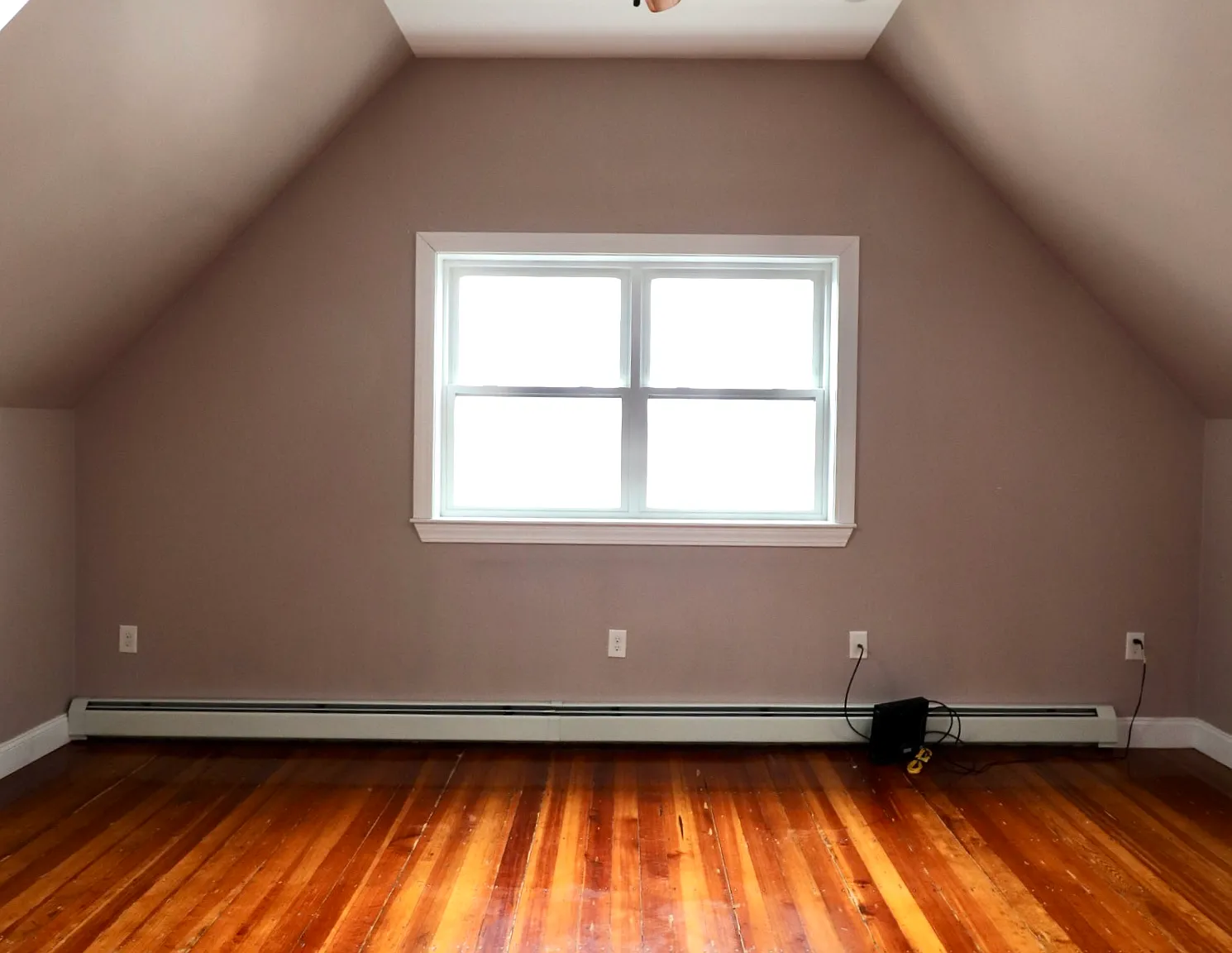 262 Shirley St — Photo 3