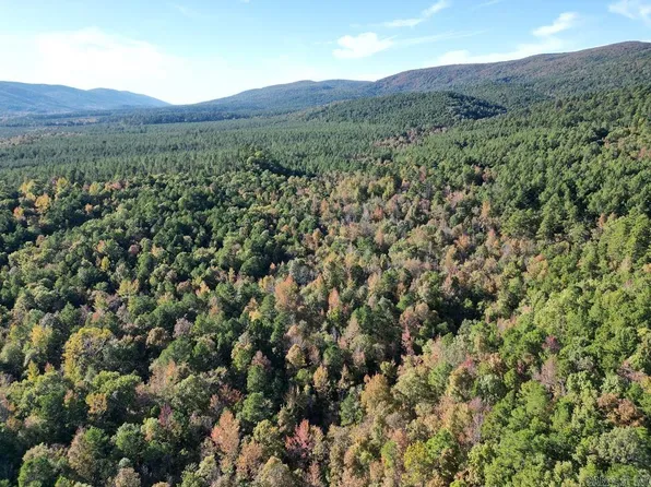 Polk St N #90, Mena, AR 71953