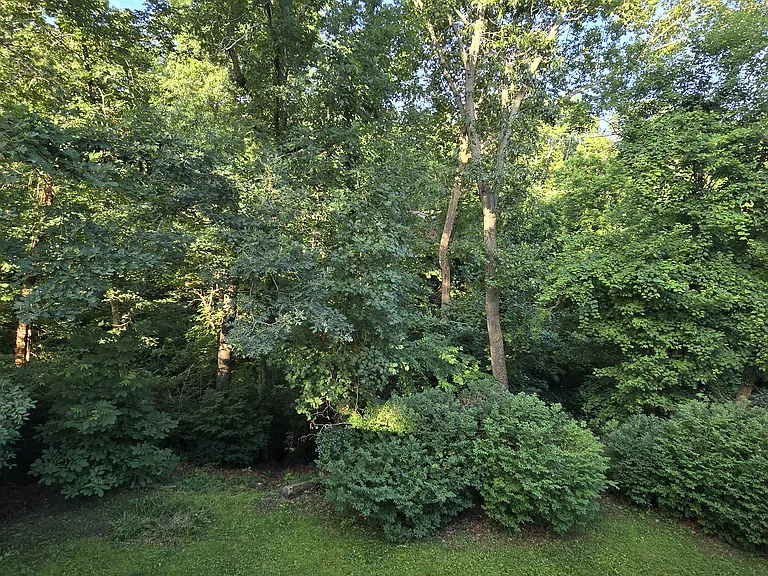 11 Blandford Ln — Photo 25