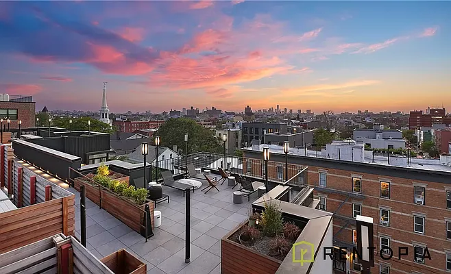 Rented by Rentopia | media 43