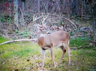 50 A County Hwy #7, Woodville, AL 35776