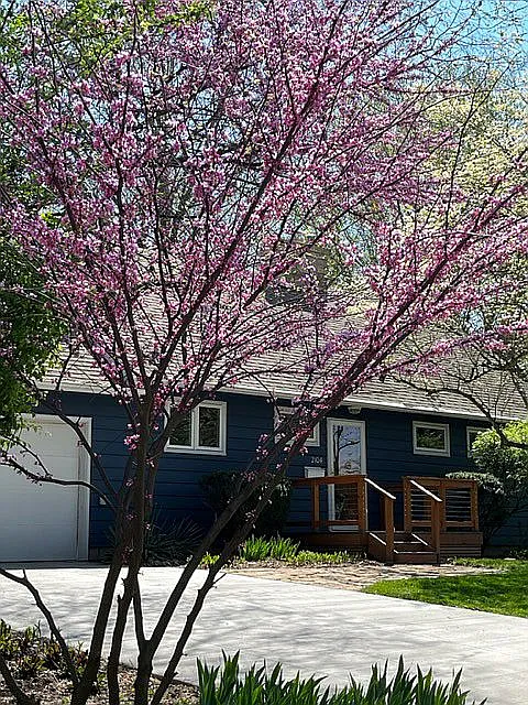 2104 S Vine St photo 1