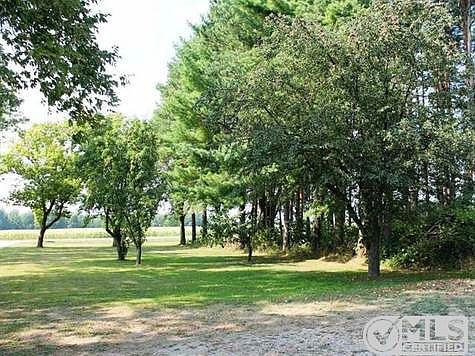 Pear, peach, plum & apple trees on the property