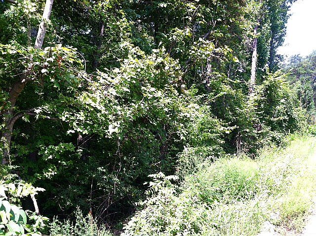 2nd image of 714 Water Oak Dr