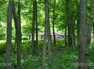 113 Garnet Dr, Canton, NC 28716