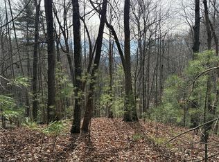 LOT 21 Buck Mountain Rd LOT 21, Purlear, NC 28665